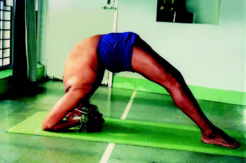 Iyengar's take on yoga asanas | The Daily Star