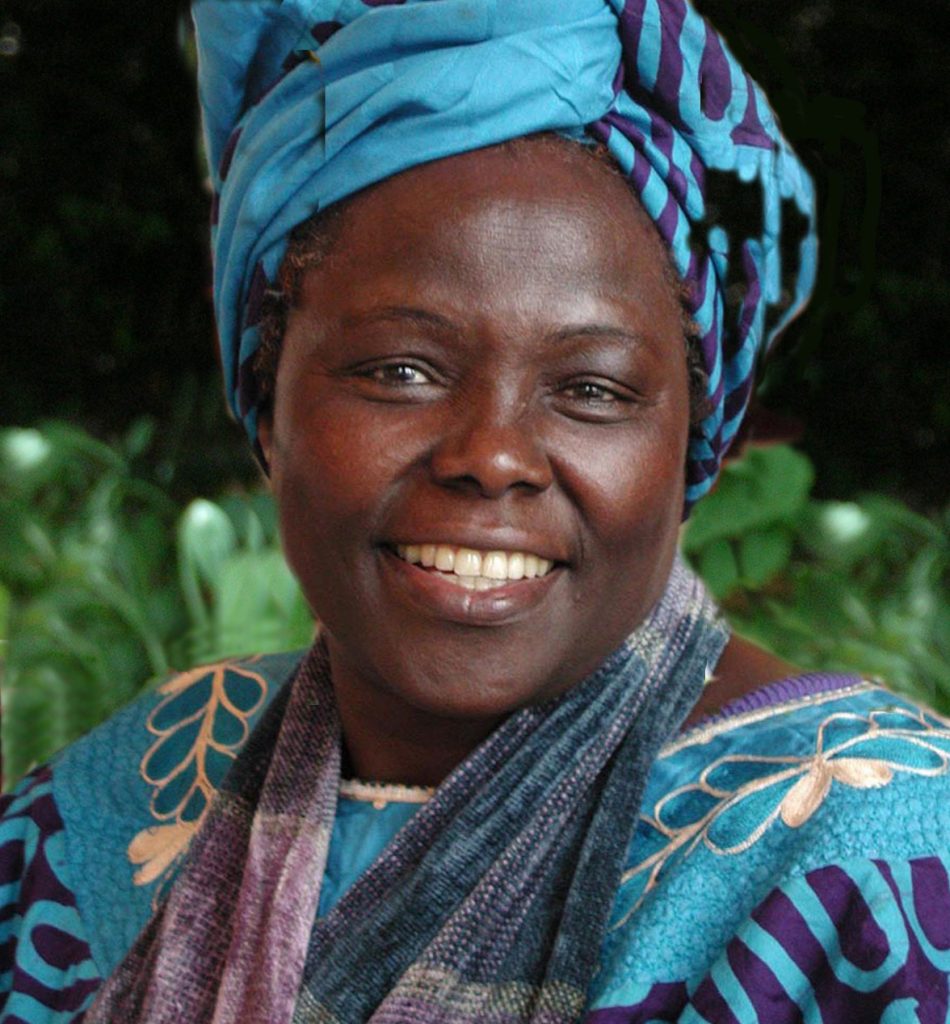 Wangari Maathai. Photograph by Martin Rowe